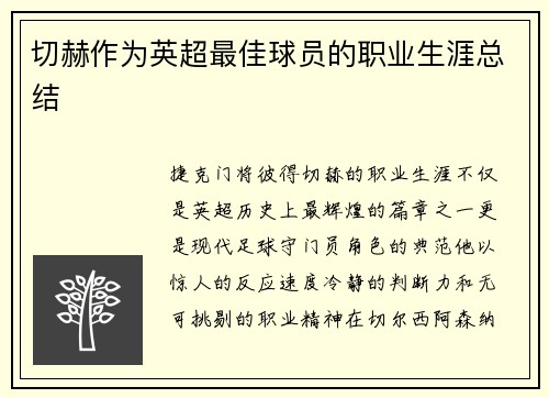切赫作为英超最佳球员的职业生涯总结