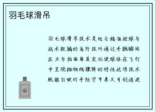 羽毛球滑吊